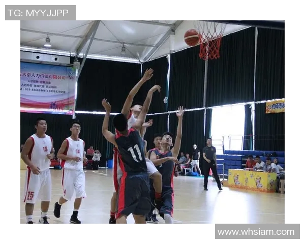 西安篮球队配合问题引发热议球迷与专家各抒己见探讨解决方案